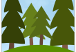 Trees and Forests