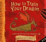How to Train Your Dragon