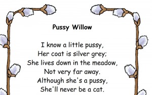 Pussy Willow photo Free Spring Printables for Kindergarten