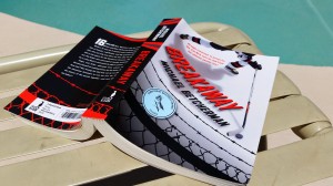 Breakaway by Michael Betcherman poolside Breakaway by Michael Betcherman poolside