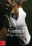 Storytime Standouts writes about middle grade fiction: Gunner by Judy Andrekson