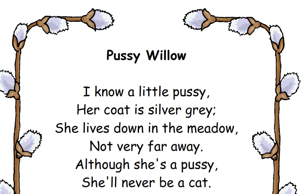 Pussy Willow Poem Free Printable from Storytime Standouts