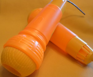 Echo Mic Used With Delayed Speech or Language Development