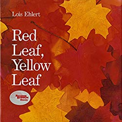 Storytime Standouts shares a selection of picture books about trees including Red Leaf, Yellow Leaf